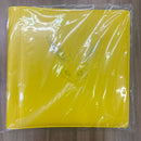 ポケモンカードゲーム コレクションファイル 海外版 サンダース