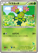 マラカッチ WAK 003/047