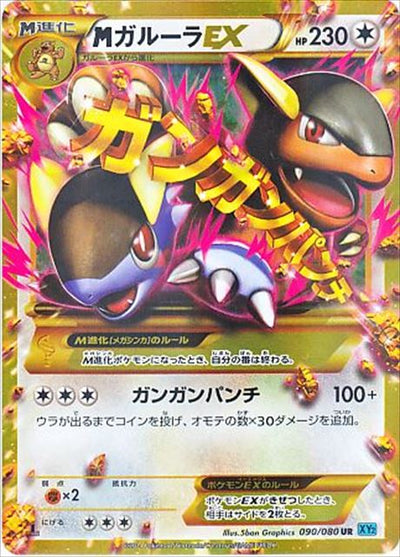 XY2 / ワイルドブレイズ