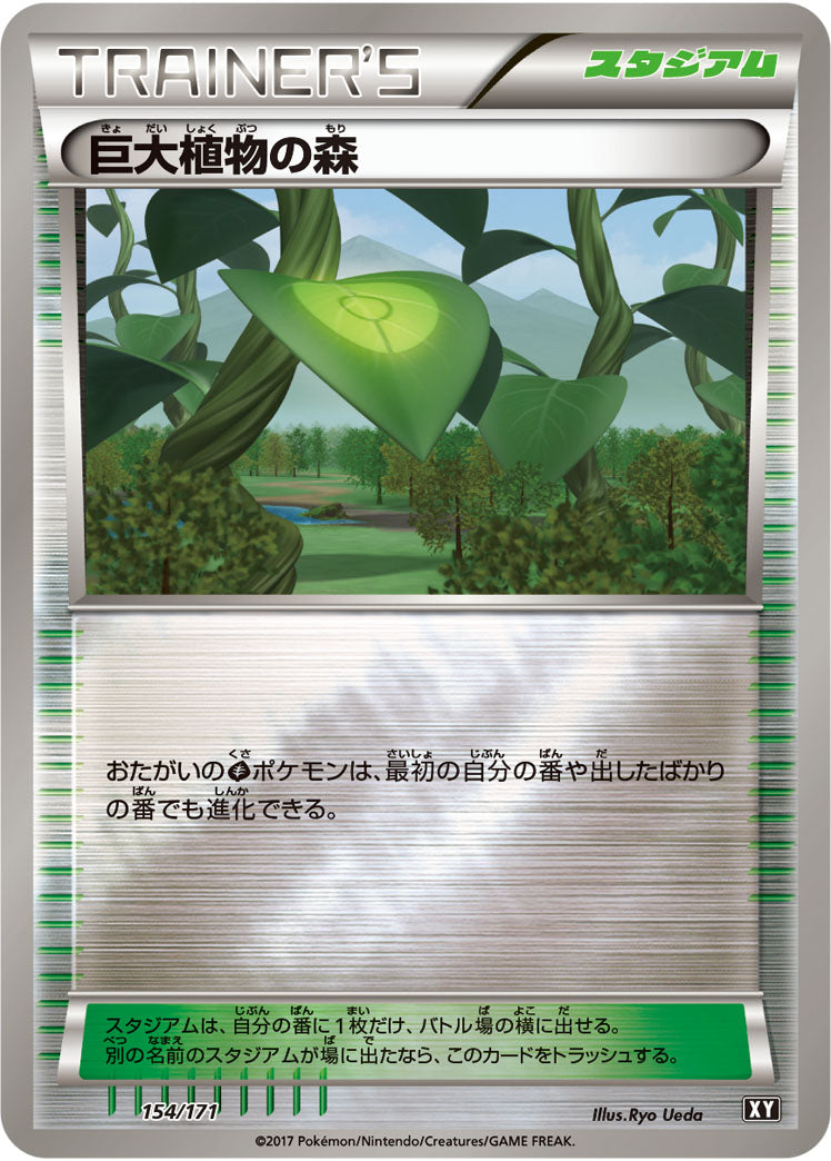 巨大植物の森 ミラー XY 154/171