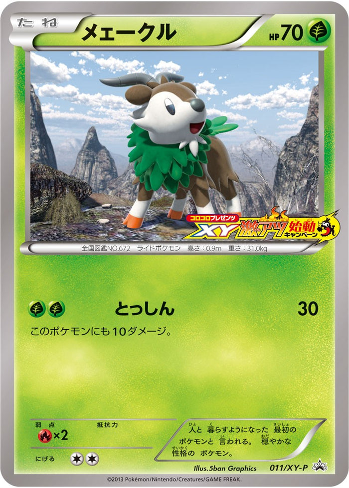 XY / PROMO