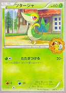 【状態C】ツタージャ (ポケモンスマイルスクール) BW-P