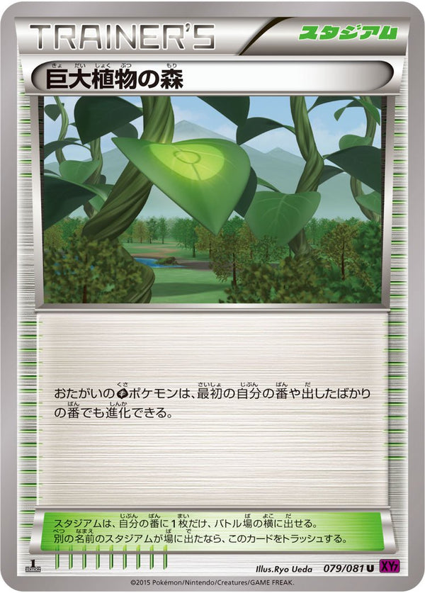 状態B)巨大植物の森 U XY7 079/081