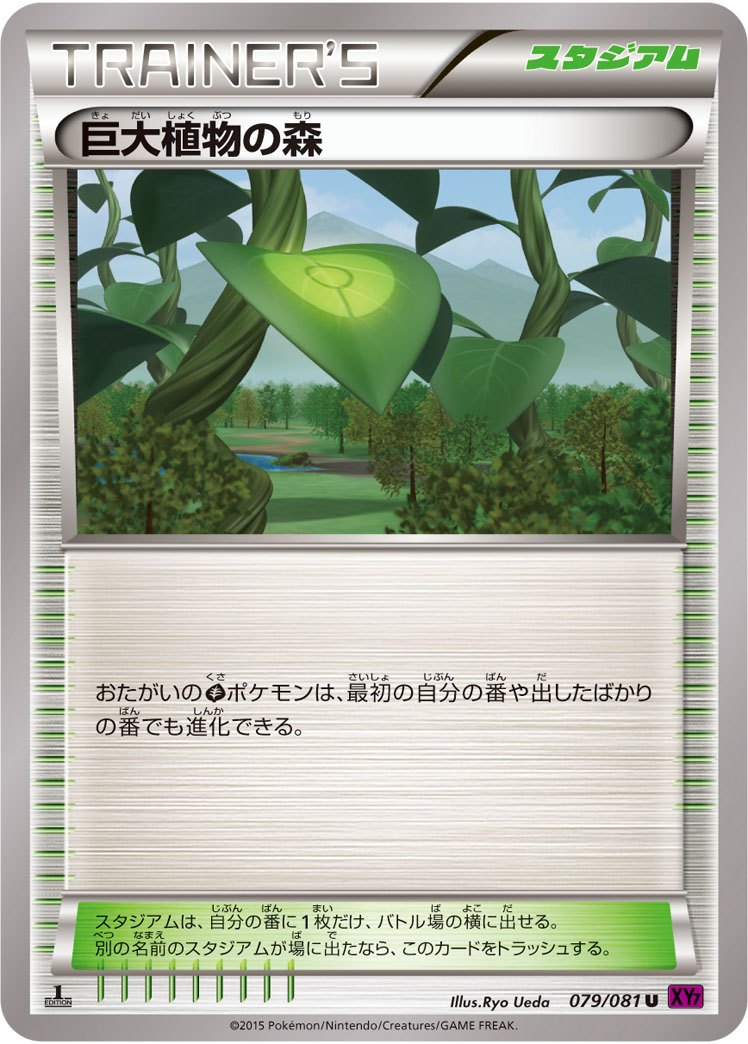 状態B)巨大植物の森 U XY7 079/081