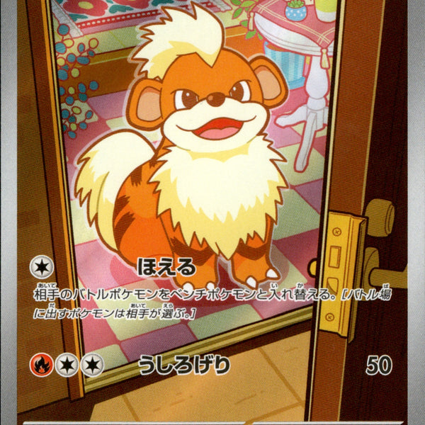 ガーディ AR M6 078/076