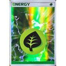 【状態D】基本草エネルギー PCG7 ホロン