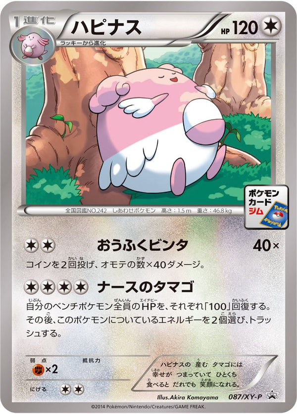 ハピナス PROMO 087/XY-P