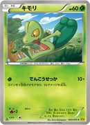 キモリ C XY5 003/070