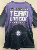 Tシャツ チームドラゴン