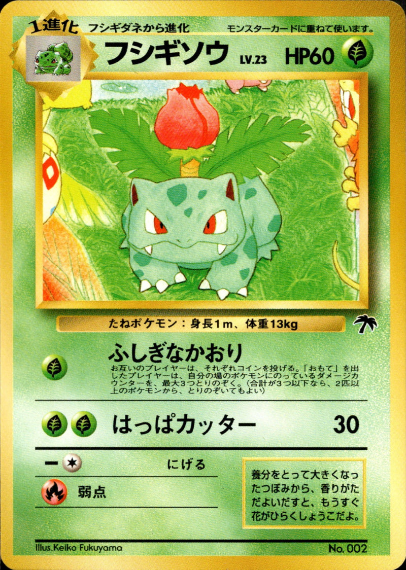 サザンアイランド / Southern Islands