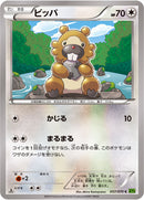 ビッパ C XY5 057/070
