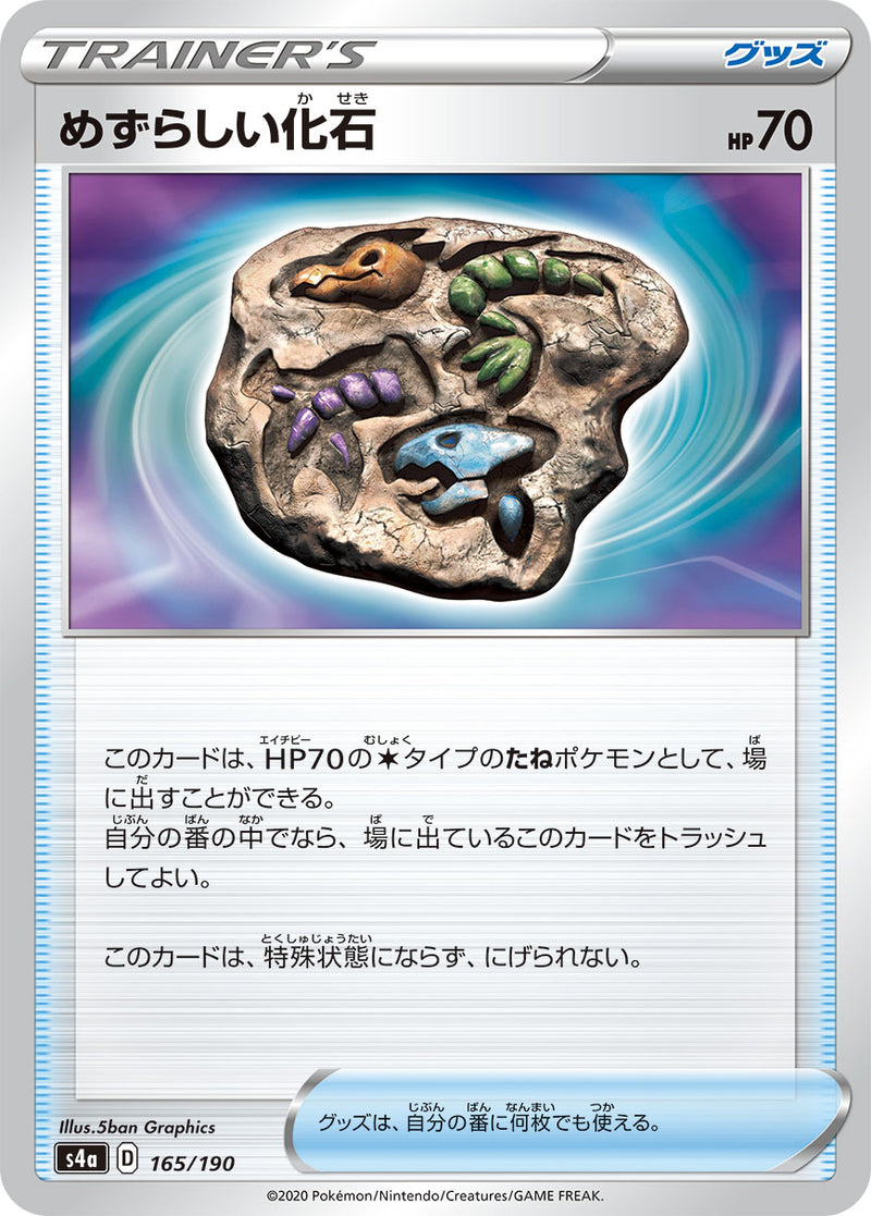 【状態B】めずらしい化石 ミラー S4a 165/190