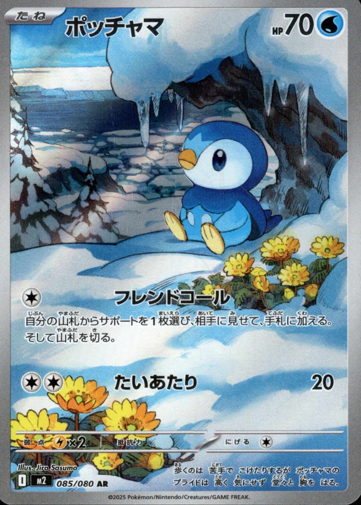 ポッチャマ　CHR　 AR　２枚 状態A】ポッチャマ CHR (052/049) [sm11b] の通販・買取価格