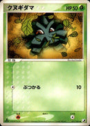 【状態A-】クヌギダマ PCG4 011/106