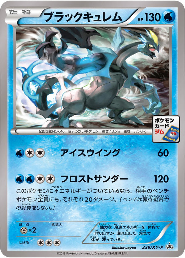 【状態B】ブラックキュレム PROMO 239/XY-P