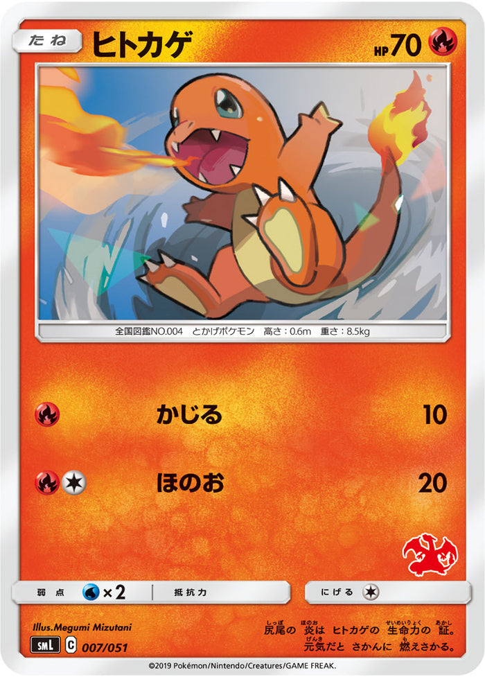 SML / ファミリーポケモンカードゲーム