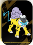 ポケモンカードゲーム ダメカンケース 海外版 ライコウ トレジャーボックス