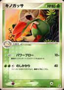 キノガッサ PCG_QC_G 004/015 【アンリミ】