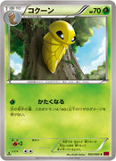 コクーン C XY1 002/060