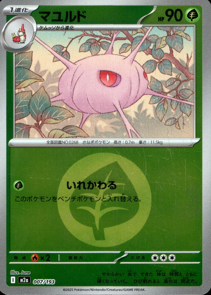 タイプ)マユルド ミラー M2a 007/193