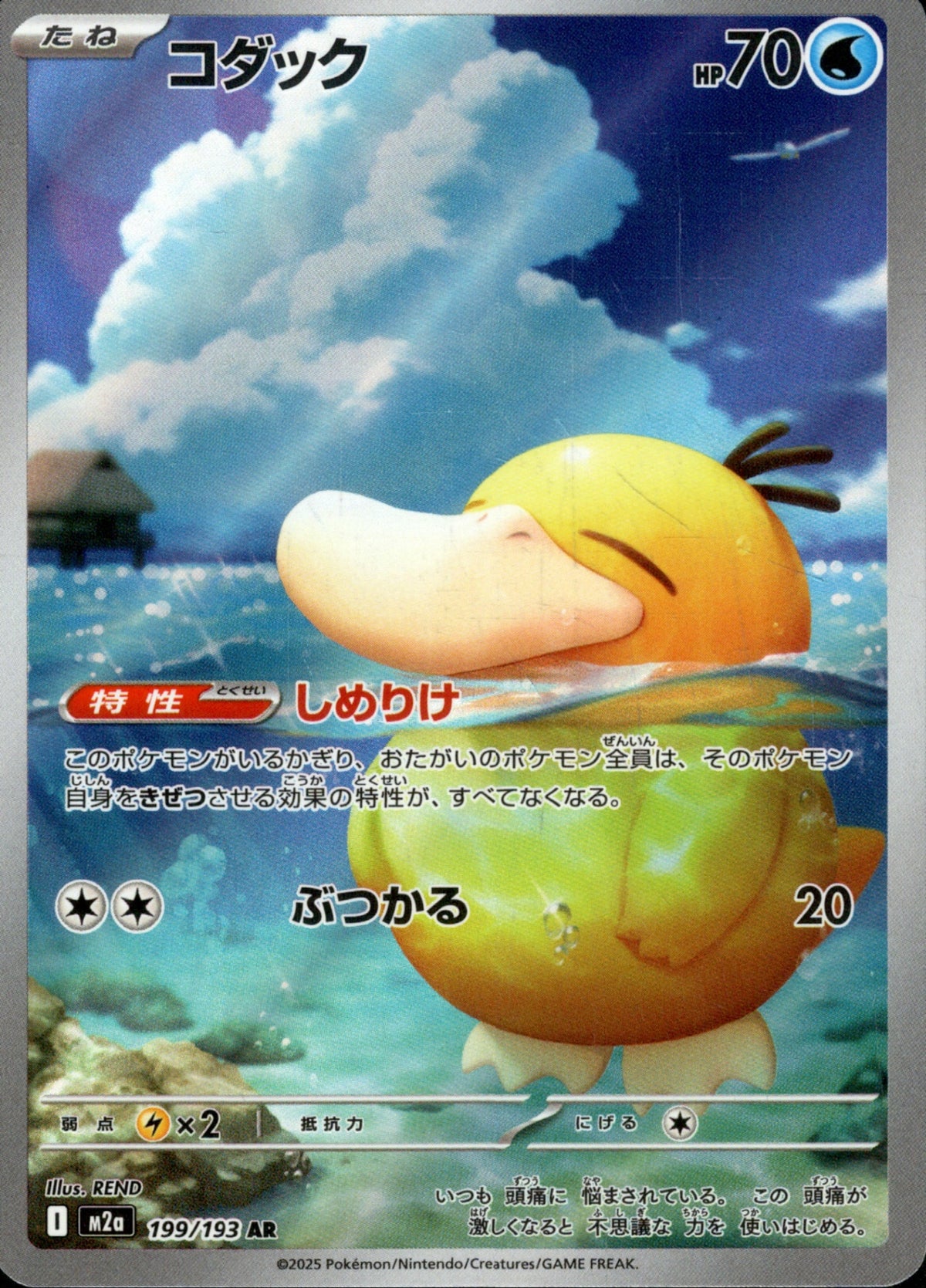 コダック　ar 11枚 コダック AR M2a 199/193