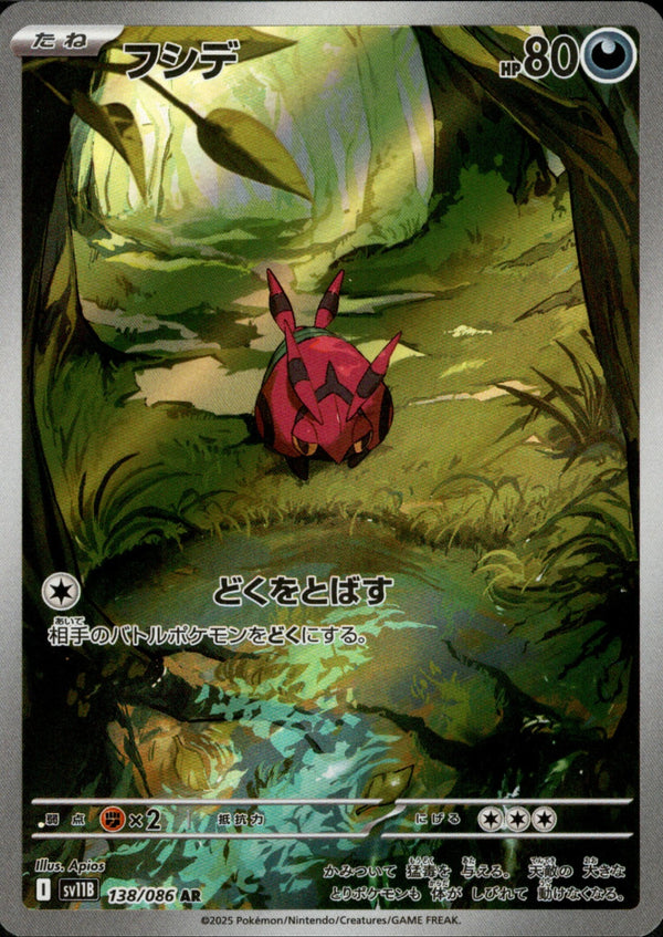 【状態B】フシデ AR SV11B 138/086