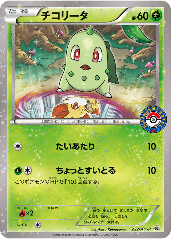 【状態B+】チコリータ PROMO 222/XY-P