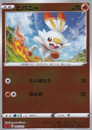 ヒバニー ミラー SA 006/023