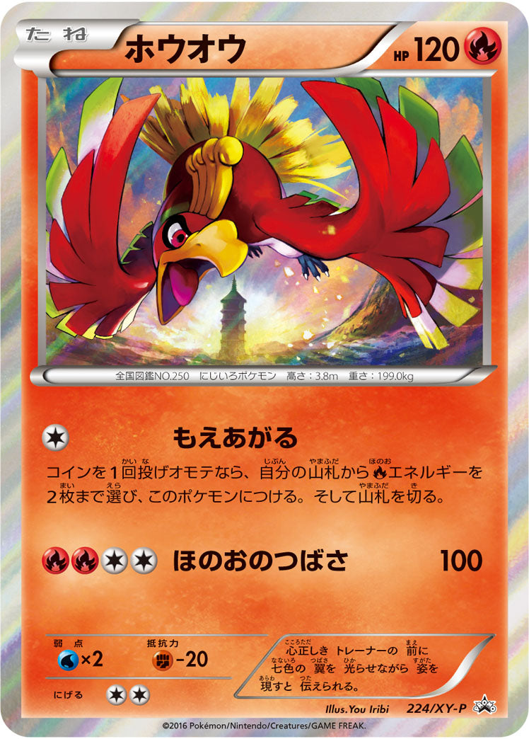 状態B)ホウオウ PROMO 224/XY-P