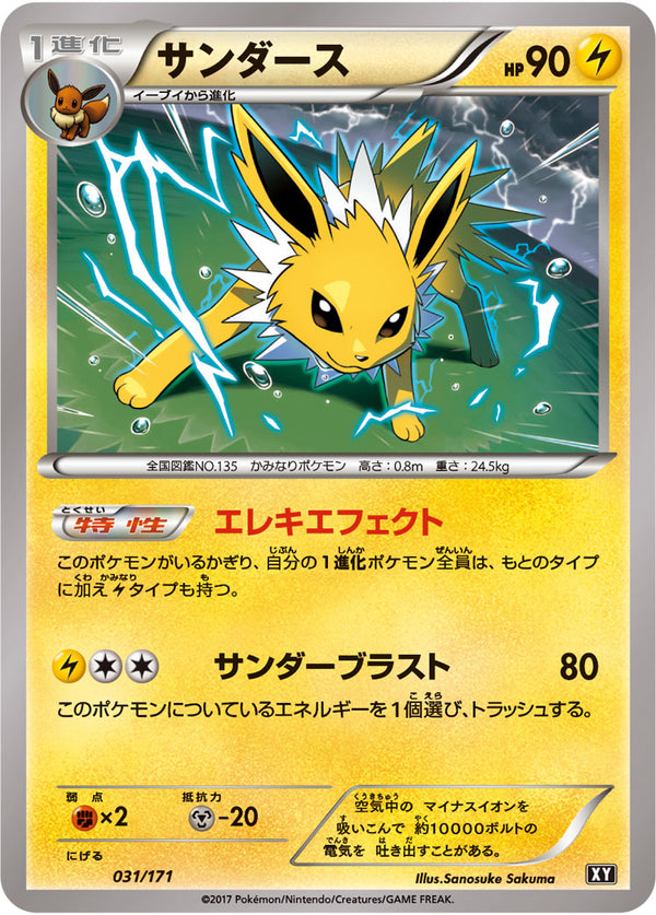 サンダース  XY 031/171