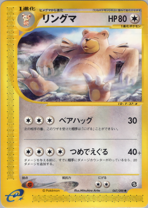 リングマ カードe PSA10 ファースト アンリミ セット