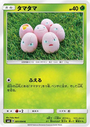 SM6 / 禁断の光